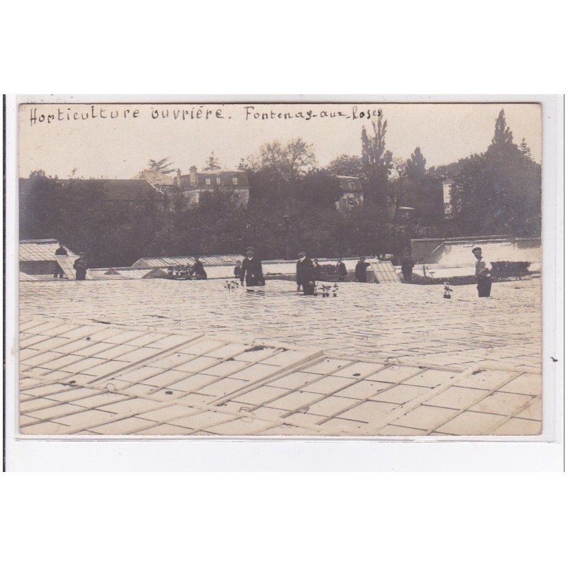 FONTENAY AUX ROSES : carte photo - horticulture ouvrière vers 1910 - très bon état