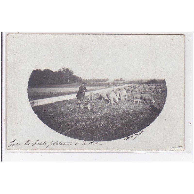 Carte photo d'un berger sur les hauts plateaux de la Brie - état (un coin cassé presque arraché)