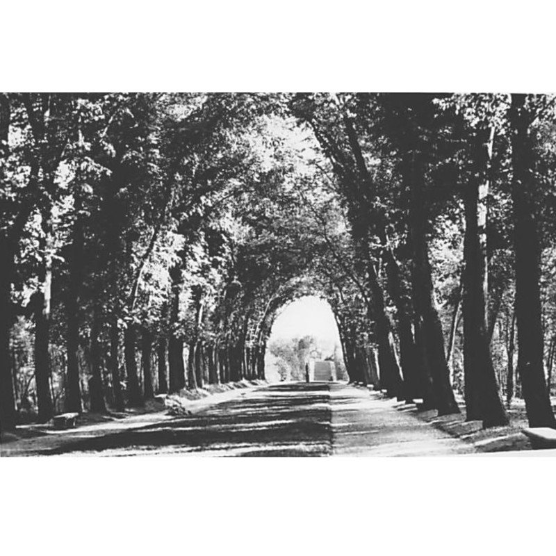 SCEAUX : L'Allée de la Duchesse - très bon état