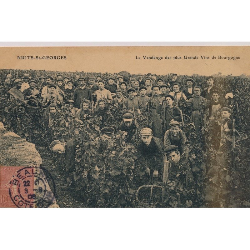 NUITS-ST-GEORGES : La Vendange des plus Grands Vins de Bourgogne - très bon état