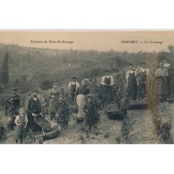CHEVREY : La Vendange - très bon état
