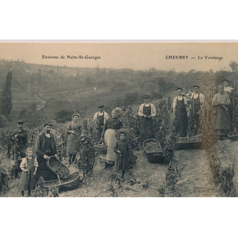 CHEVREY : La Vendange - très bon état