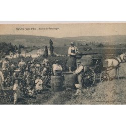 NOLAY : Scène de Vendanges - très bon état