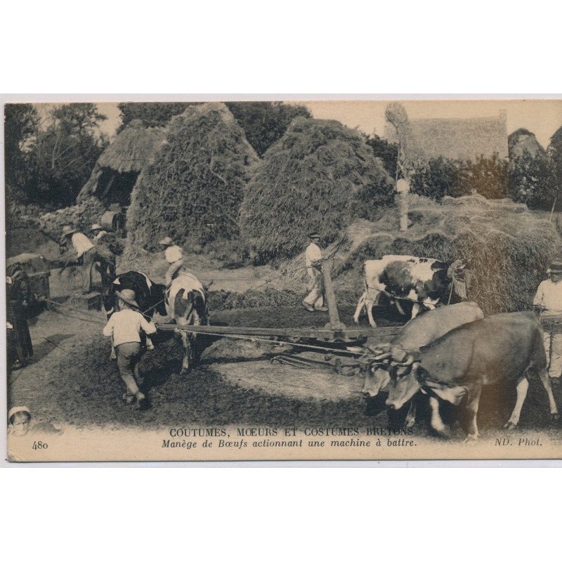 A LOCALISER : Coutumes, Moeurs et Costumes Bretons, Manège de Boeufs actionnant une machine à Battre - très bon état