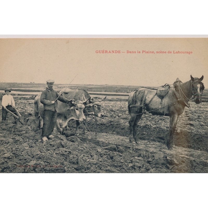 GUERANDE : dans la Plaine, Scène de Labourage - très bon état GUERANDE : dans la Plaine, Scène de Labourage - très bon état