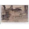 St-CYPRIEN : carte photo chenil du domaine des capeillans dressage chiens domaine des capeillans - très bon état