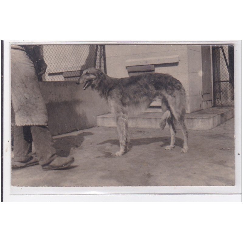 St-CYPRIEN : carte photo chenil du domaine des capeillans dressage chiens domaine des capeillans - très bon état