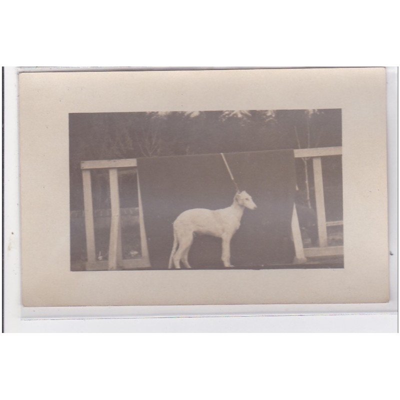 St-CYPRIEN : carte photo chenil du domaine des capeillans dressage chiens domaine des capeillans - très bon état