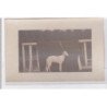 St-CYPRIEN : carte photo chenil du domaine des capeillans dressage chiens domaine des capeillans - très bon état