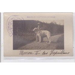 St-CYPRIEN : carte photo chenil du domaine des capeillans dressage chiens domaine des capeillans - très bon état