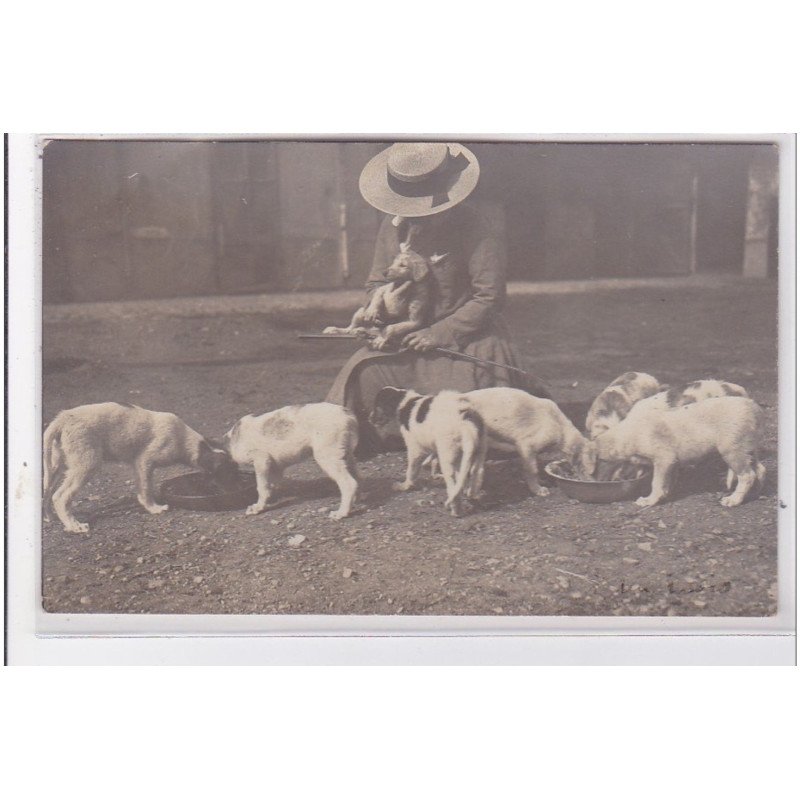 St-CYPRIEN : carte photo chenil du domaine des capeillans dressage chiens domaine des capeillans - très bon état