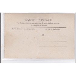 St-CYPRIEN : carte photo chenil du domaine des capeillans dressage chiens domaine des capeillans - très bon état