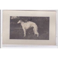 St-CYPRIEN : carte photo chenil du domaine des capeillans dressage chiens domaine des capeillans - très bon état