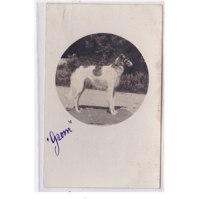 St-CYPRIEN : carte photo chenil du domaine des capeillans dressage chiens domaine des capeillans - très bon état