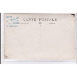 St-CYPRIEN : carte photo chenil du domaine des capeillans dressage chiens domaine des capeillans - très bon état