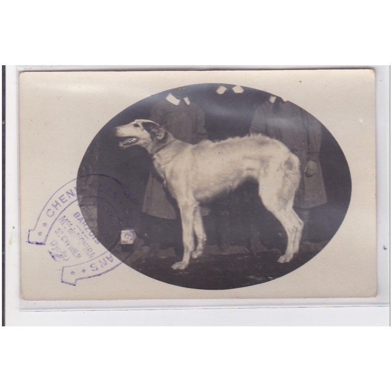 St-CYPRIEN : carte photo chenil du domaine des capeillans dressage chiens domaine des capeillans - très bon état