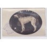St-CYPRIEN : carte photo chenil du domaine des capeillans dressage chiens domaine des capeillans - très bon état