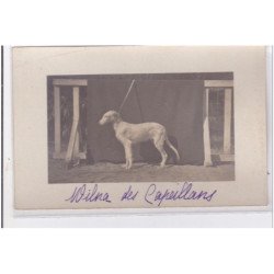 St-CYPRIEN : carte photo chenil du domaine des capeillans dressage chiens domaine des capeillans - très bon état