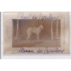 St-CYPRIEN : carte photo chenil du domaine des capeillans dressage chiens domaine des capeillans - très bon état