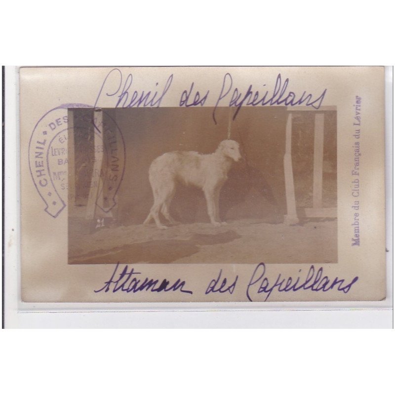 St-CYPRIEN : carte photo chenil du domaine des capeillans dressage chiens domaine des capeillans - très bon état