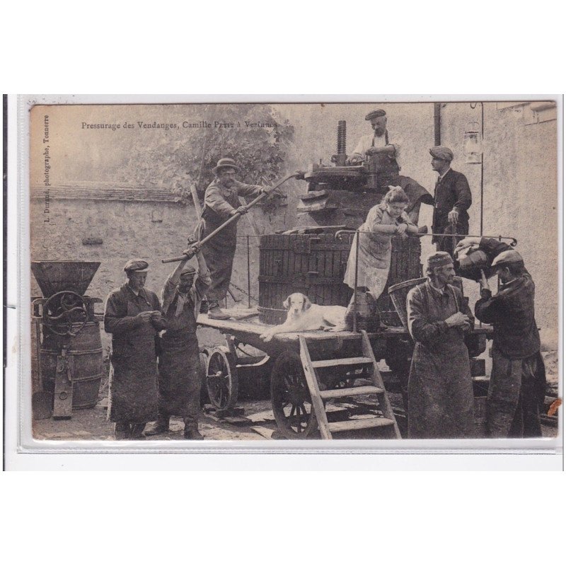 VEZINNES : pressurage des vendanges - Camille PETIT (pressoirs - vins) - très bon état
