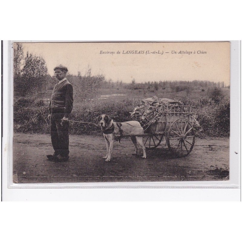 Environs de LANGEAIS : attelage à chien (voiture à chien) - très bon état