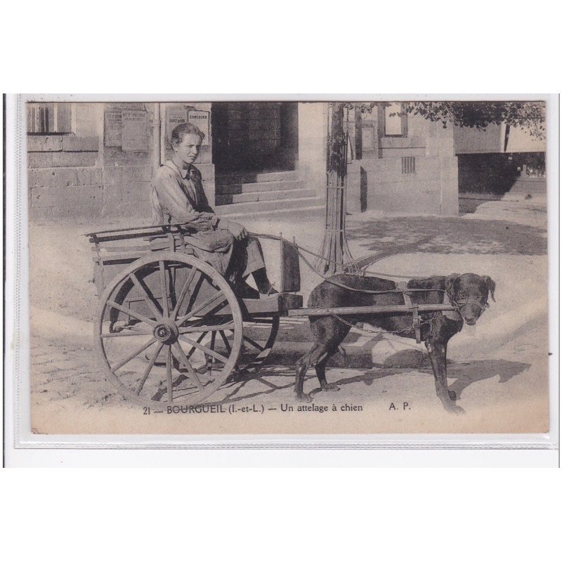 BOURGEUIL : attelage à chien (voiture à chien) - bon état (un petit pli d'angle)