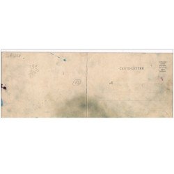 Carte Panoramique - LYON - Panorama pris de Fourvière (28x11) - état