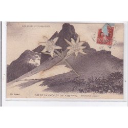 PAS DE LA CAVALLE : les alpes pittoresques, alt. 2939m, edelweiss - tres bon etat