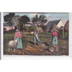 ARDENNES : paysage ardennais - tres bon etat