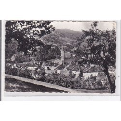 MASSAT : dans son nid de verdure - etat