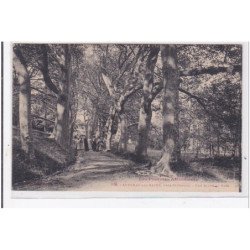 AUDINAC-les-BAINS : une allée au parc - tres bon etat