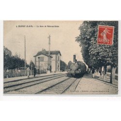 BLUNAY : la gare de melz-sur-seine - tres bon etat
