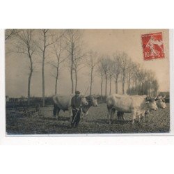 SEINE et MARNE (?) : agriculteur, labour - tres bon etat