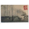 SEINE et MARNE (?) : agriculteur, labour - tres bon etat