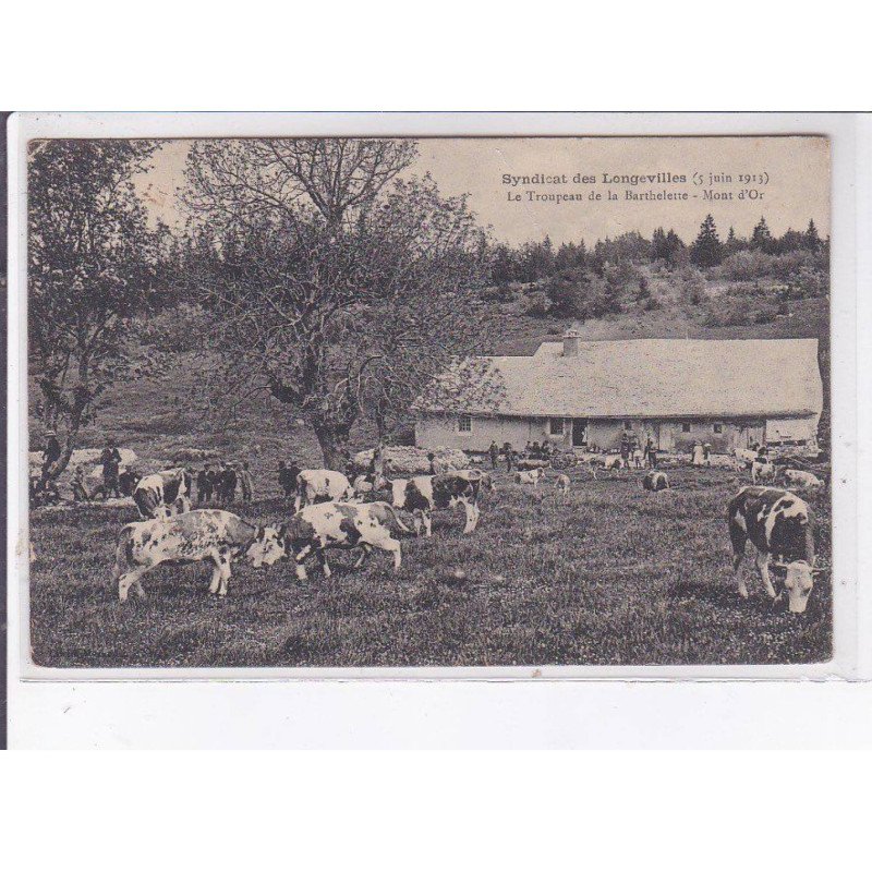 LONGEVILLES: syndicat des longevilles, le troupeau de la barthelette, mont d'or - très bon état
