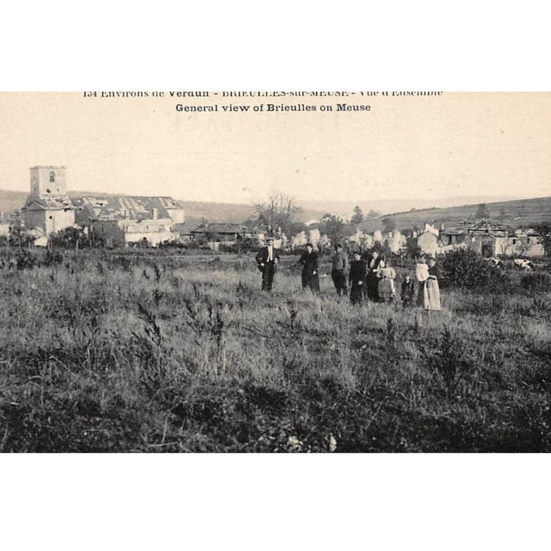 BRIEULLES-sur-MEUSE : vue d'ensemble - tres bon etat