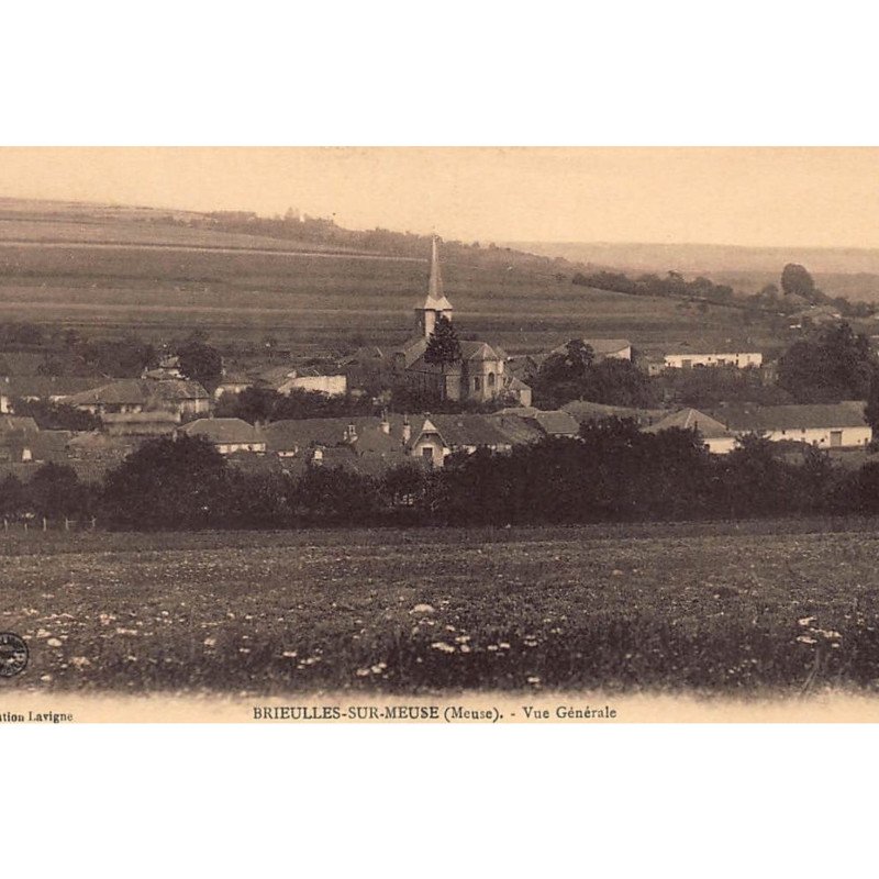 BRIEULLES-sur-MEUSE : vue generale - tres bon etat