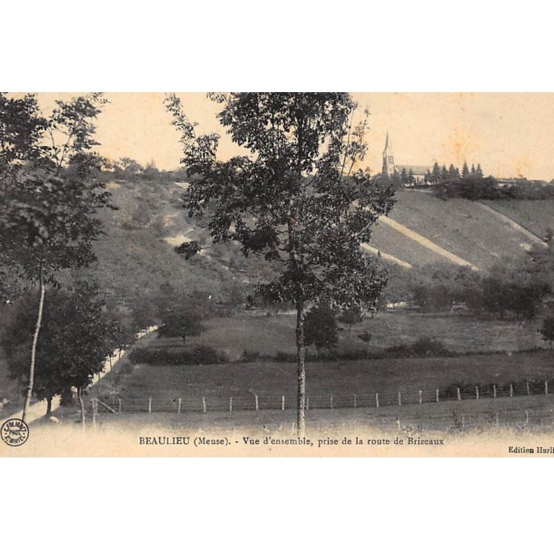BEAULIEU : vue d'ensemble, prise de la route de brizeaux - tres bon etat