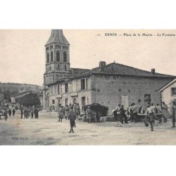 ESNES : place de la mairie, la fontaine - tres bon etat