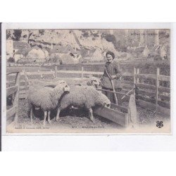 BRIVE: moutons au parc - très bon état
