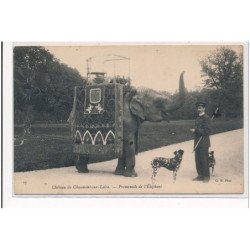 CHAUMONT-sur-LOIRE : chateau de chaumont-sur-loire, promenade de l'éléphant - etat