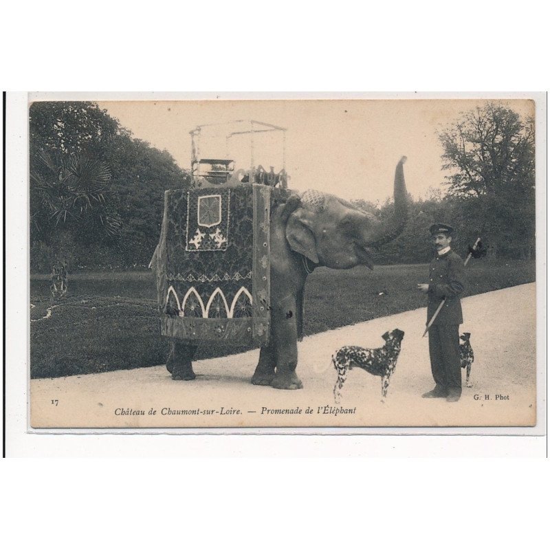 CHAUMONT-sur-LOIRE : chateau de chaumont-sur-loire, promenade de l'éléphant - etat