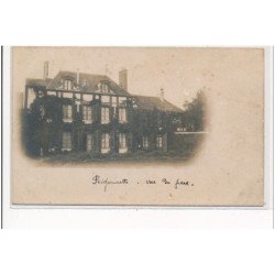 BIGEONNETTE : chateau, vue du parc - etat