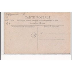 BIGEONNETTE : chateau, vue du parc - etat