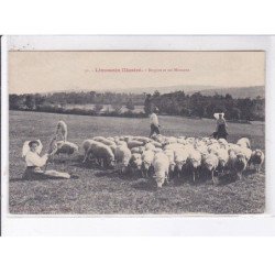 CORREZE: bergère et ses moutons - très bon état