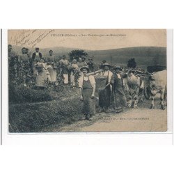 JULLIE : les vendanges en beaujolais - etat