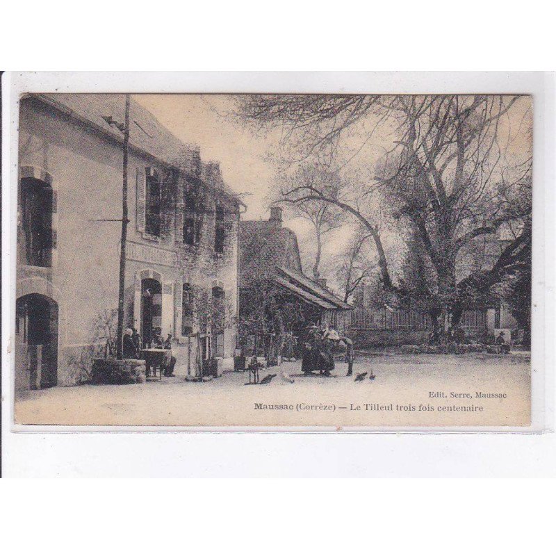 MAUSSAC: le tilleul trois fois centenaire - très bon état