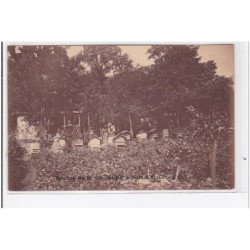 NOLAY : le rucher de monsieur Serf (abeilles - apiculture) - très bon état