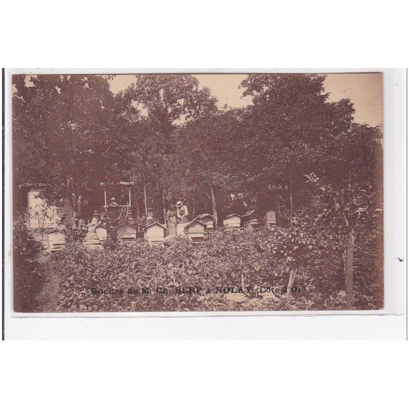 NOLAY : le rucher de monsieur Serf (abeilles - apiculture) - très bon état